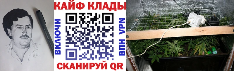 Канабис Михайловск