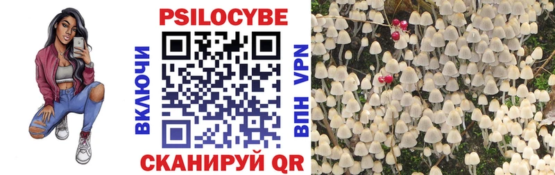 Галлюциногенные грибы Cubensis  Михайловск 